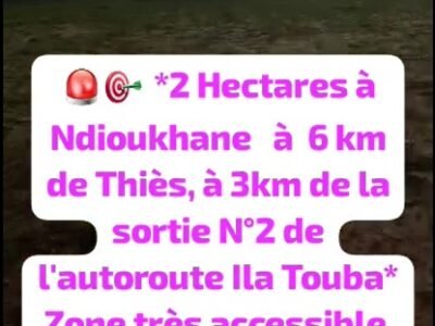 Terrain A vendre Thies (Ndioukhane) - 2 ha