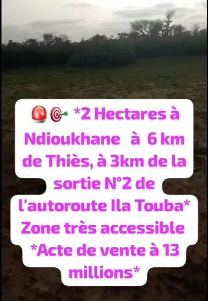Terrain A vendre Thies (Ndioukhane) - 2 ha