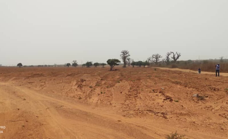 des terrains à Keur Moussa, près de l’Aéroport International Blaise Diagne (AIBD)