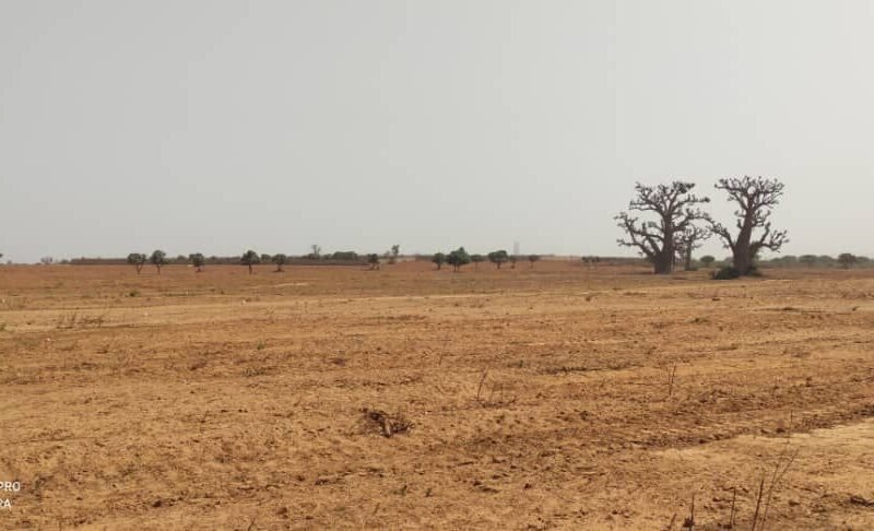 des terrains à Keur Moussa, près de l’Aéroport International Blaise Diagne (AIBD)