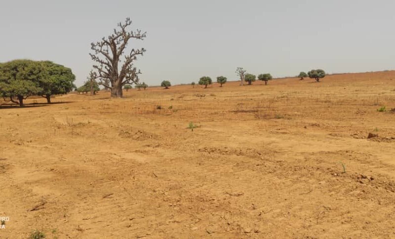 des terrains à Keur Moussa, près de l’Aéroport International Blaise Diagne (AIBD)