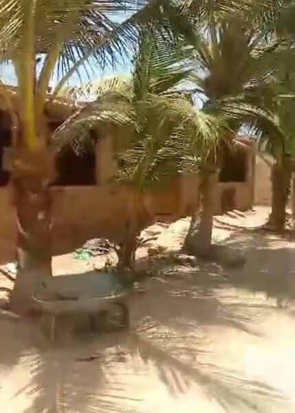 poulailler à vendre de 450m² situé à Bambilor
