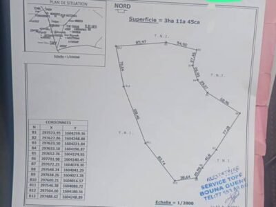 terrain à vendre à Sindia - 3 hectares